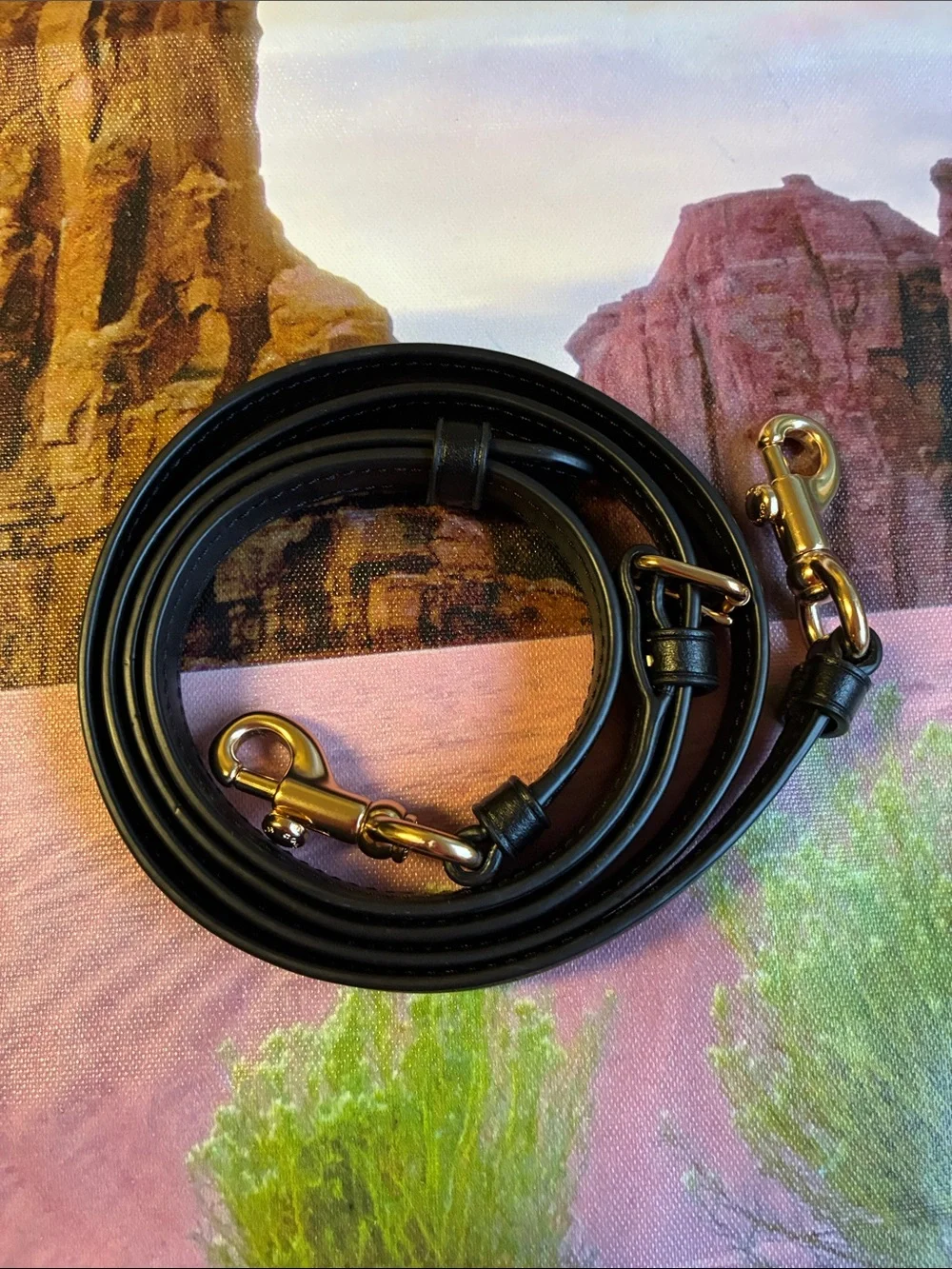 Coach Black Smooth Leather Strap with Gold Hardware.